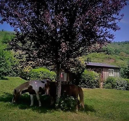 La Fregiere Chalets Clairvaux-d'Aveyron Exterior photo