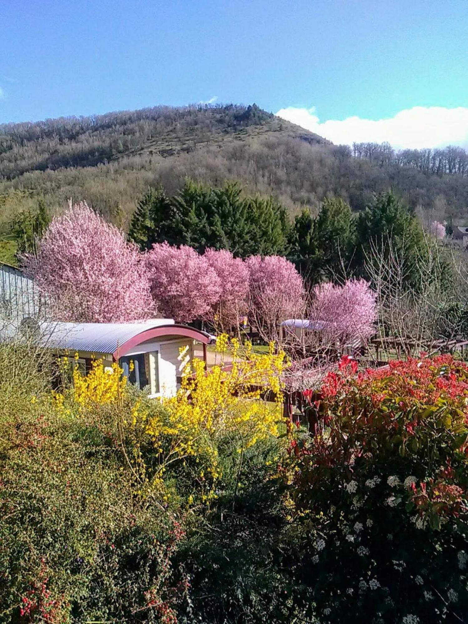 La Fregiere Chalets Clairvaux-d'Aveyron Exterior photo