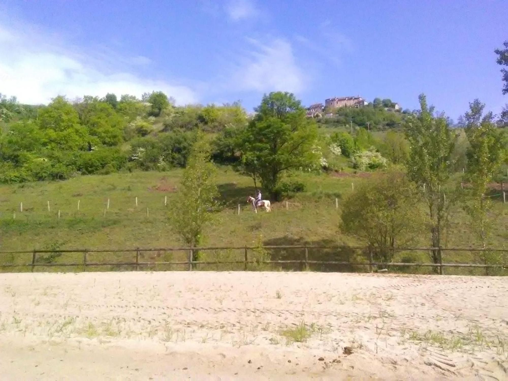 La Fregiere Chalets Clairvaux-d'Aveyron Exterior photo